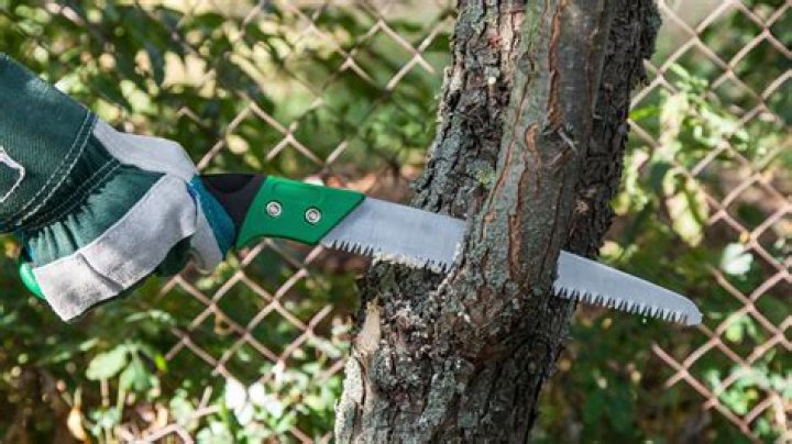 How do I choose a pruning saw