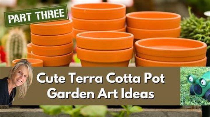 Which plants like terracotta pots