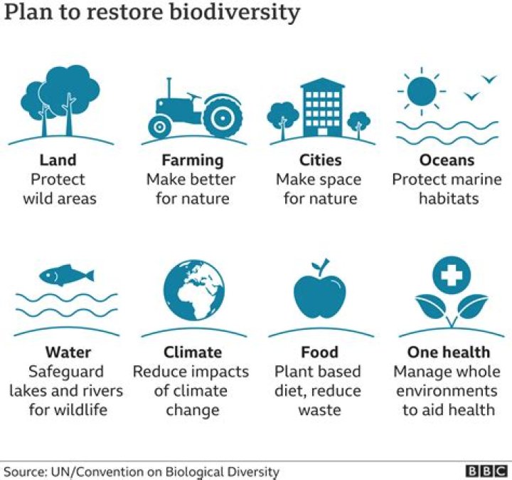 Why does biodiversity loss matter
