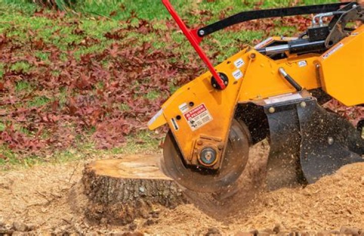 Why is Stump Removal so expensive